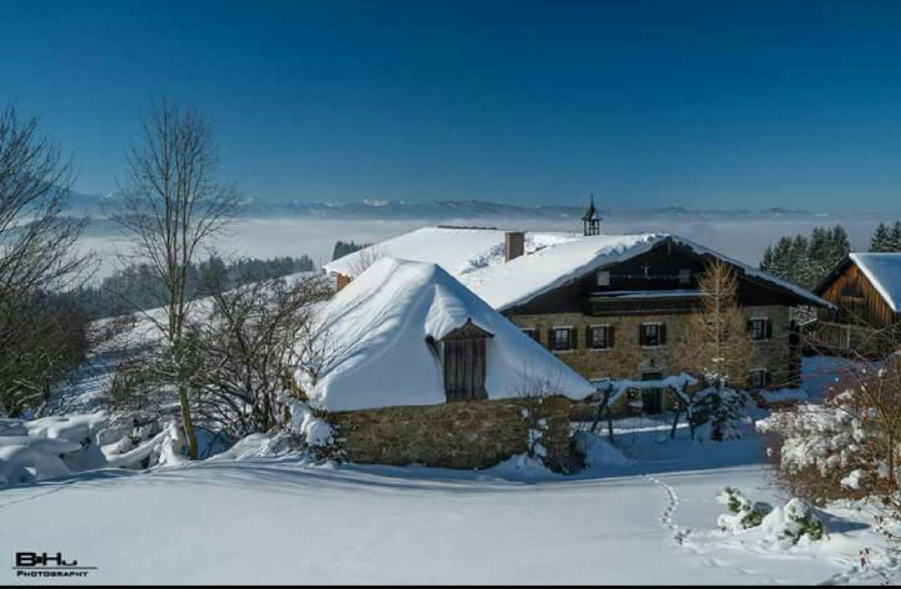 Bauernhof Moadl Villa Weyregg Exterior photo